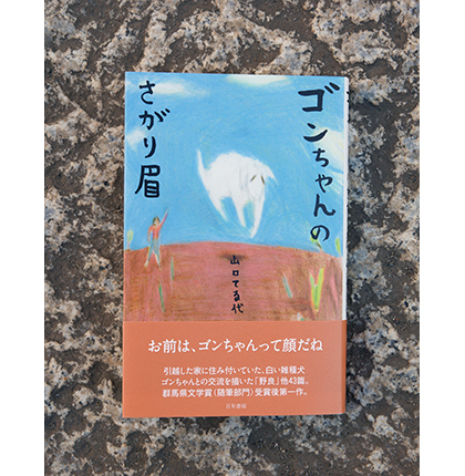 ゴンちゃんのさがり眉
