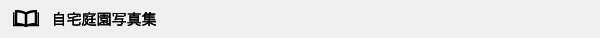 自宅庭園写真集